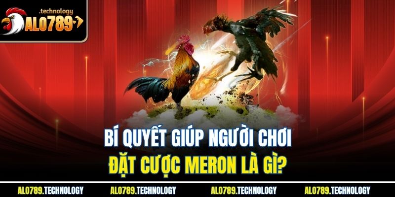 Meron Là Gì? Khám Phá Thế Giới Đá Gà Cùng Nhà Cái Alo789 4 Bí quyết giúp người chơi đặt cược meron là gì?