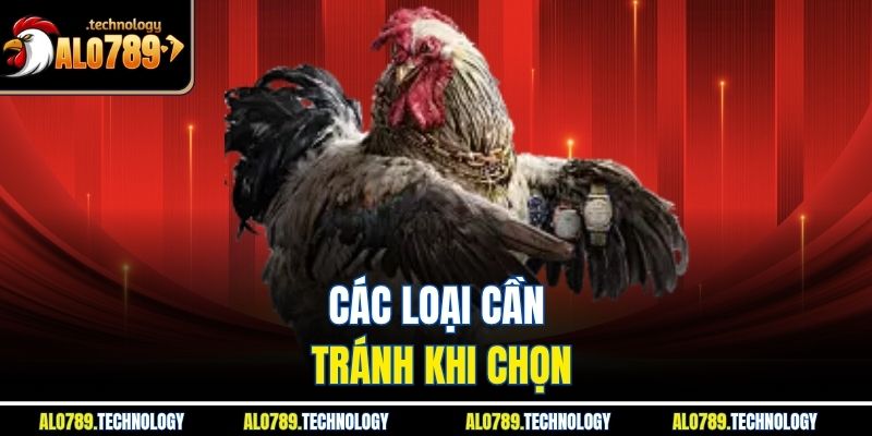 Nhận Diện Vảy Gà Xấu Toàn Diện Cho Người Nuôi Mới Bắt Đầu 3 Các loại cần tránh khi chọn