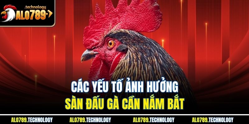 Trường Gà Là Gì Và Những Điều Thú Vị Có Thể Bạn Chưa Biết 4 Các yếu tố ảnh hưởng sàn đấu gà cần nắm bắt