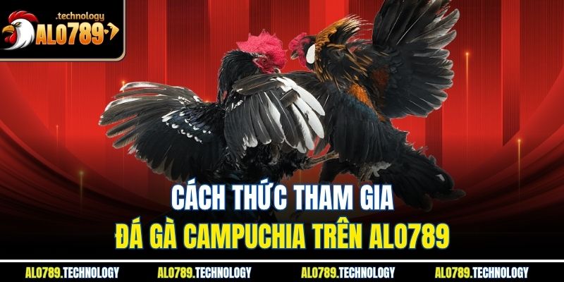 Đá Gà Campuchia - Trải Nghiệm Loại Hình Thi Đấu Hấp Dẫn 4 Cách thức tham gia đá gà Campuchia trên Alo789