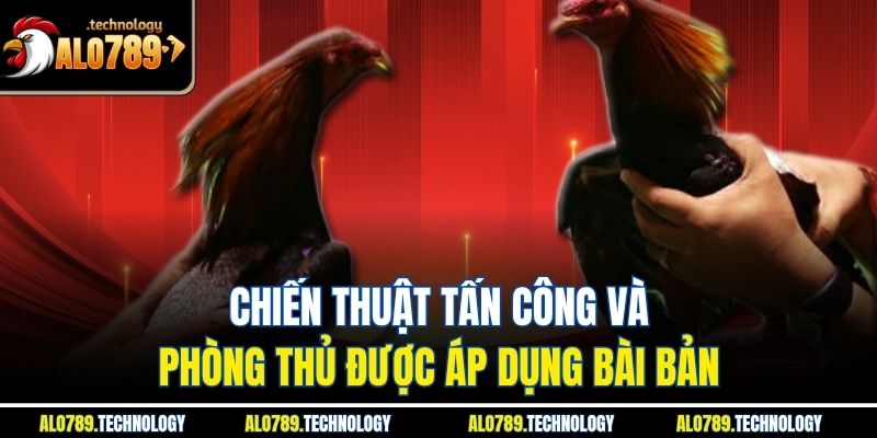 Đá Gà Philippines – Kỹ Thuật Và Chiến Thuật Cùng Alo789 3 Chiến thuật tấn công và phòng thủ được áp dụng bài bản