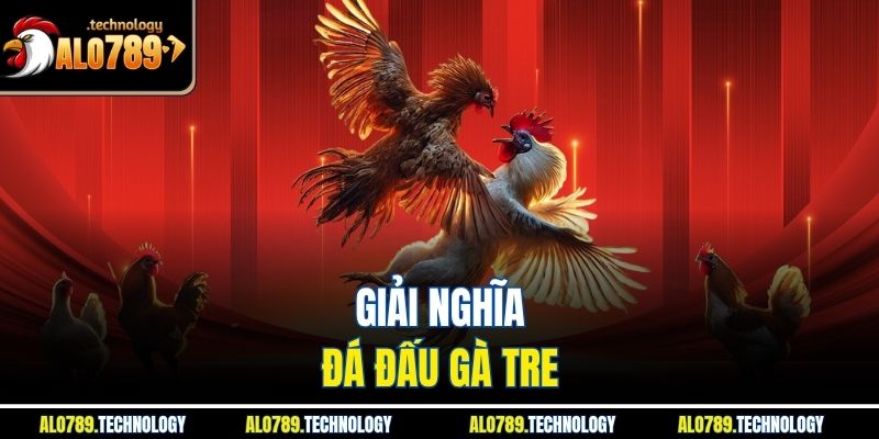 Đá Gà Tre - Kinh Nghiệm Và Mẹo Chọn Gà Chiến Tại Alo789 2 Giải nghĩa đá đấu gà tre