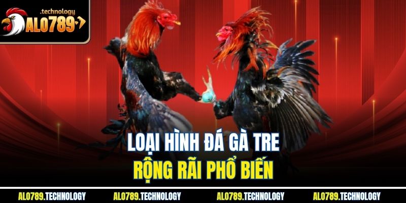 Đá Gà Tre - Kinh Nghiệm Và Mẹo Chọn Gà Chiến Tại Alo789 3 Loại hình đá gà tre rộng rãi phổ biến