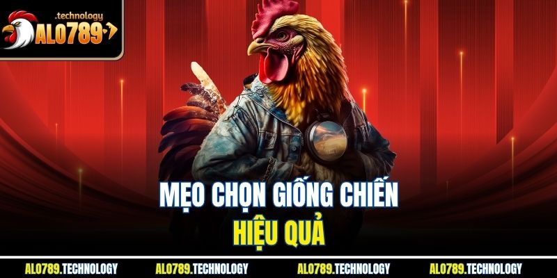 Đá Gà Tre - Kinh Nghiệm Và Mẹo Chọn Gà Chiến Tại Alo789 4 Mẹo chọn giống chiến hiệu quả