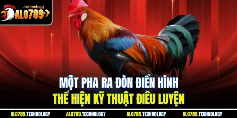 Đá Gà Philippines – Kỹ Thuật Và Chiến Thuật Cùng Alo789 2 Một pha ra đòn điển hình thể hiện kỹ thuật điêu luyện