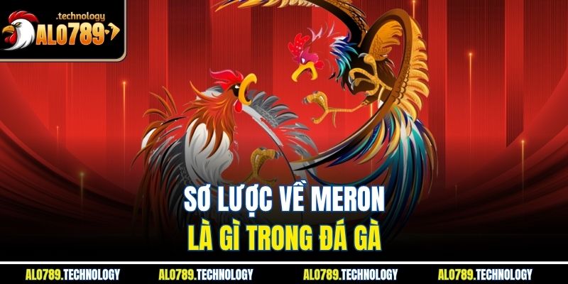 Meron Là Gì? Khám Phá Thế Giới Đá Gà Cùng Nhà Cái Alo789 2 Sơ lược về meron là gì trong đá gà