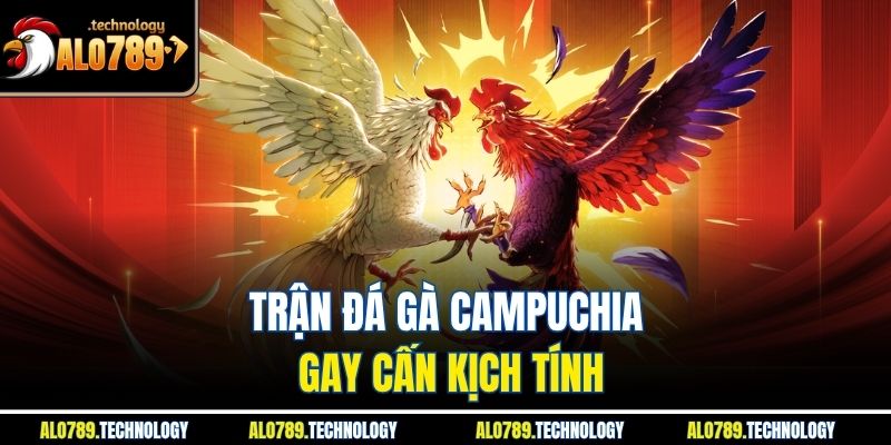Đá Gà Campuchia - Trải Nghiệm Loại Hình Thi Đấu Hấp Dẫn 2 Trận đá gà Campuchia gay cấn kịch tính