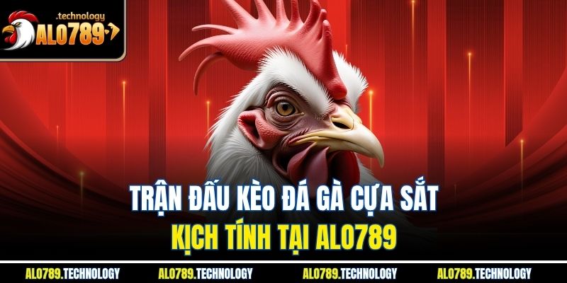Kèo Đá Gà Cựa Sắt - Đấu Trường Đỉnh Cao Và Kịch Tính 2 Trận đấu kèo đá gà cựa sắt kịch tính tại Alo789