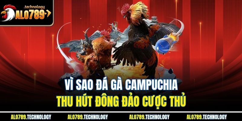 Đá Gà Campuchia - Trải Nghiệm Loại Hình Thi Đấu Hấp Dẫn 3 Vì sao đá gà Campuchia thu hút đông đảo cược thủ